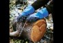 MAPA TEMPTEC 332 HEAT RESISTANT POLYCHLOROPRENE GLOVE WITH THERMAL INSULATION 36CM