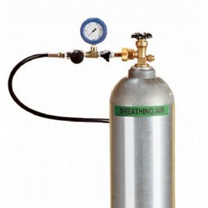 AIR SYSTEMS 5 FT FILL WHIP ASSEMBLY CGA-347 -4500PSI