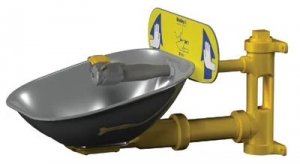 BRADLEY WALL MOUNTED EYE WASH WITH STAINLESS STEEL BOWL