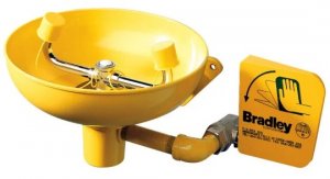 BRADLEY WALL MOUNTED EYEWASH STATION, PLASTIC BOWL