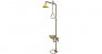 SPEAKMAN PEM-607 EMERGENCY DELUGE SHOWER & NON-AERATED EYE/FACE WASH WITH 76 LPM HIGH-FLOW SHOWER