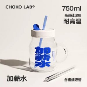 CHAKOLAB 750ML BOROSILICATE GLASS- SALARY INCREASE