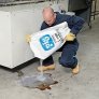 PIG PLP213-1 DRI LOOSE ABSORBENT SILICA-FREE WITH 47% RECYCLED CONTENT