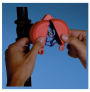 PANDUIT GATE VALVE LOCKOUTS-YEL ( 254-330MM )