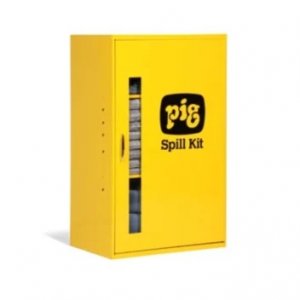 PIG WALL CABINET FOR NON-AGGR FLUID FILLED (CAB201+RFL228)