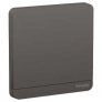 SCHNEIDER AVATARON 16AX 250V 1-GANG 1-WAY SWITCH DARK GREY