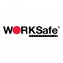 WORKSAFE® SHELVES FOR 12 GAL PP CABINET (SHELVES ONLY)