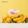 CHAKO LAB FRUIT BOX 600ML BPA-FREE PP FOOD CONTAINER