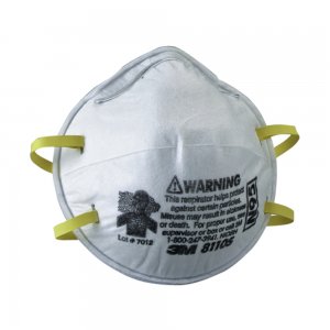 8110S N95 SML PARTICULATE RESPIRATOR