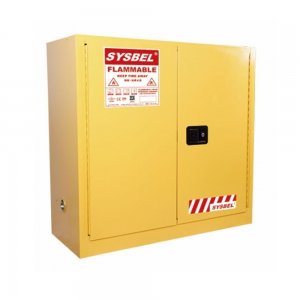 30 GAL 2 DR FLAMMABLE CABINET