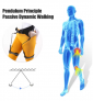 EXOSKELETON Walking aid Booster, Power Assisted Walking with 50% Effort Reduction, utilizing Human body synergy. Use as climbing/walking assist device for stroke patient rehabilitation