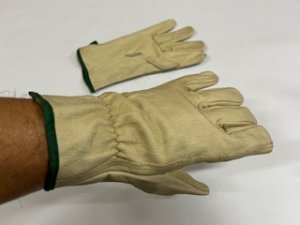 Lab Safety – LSS-23390M