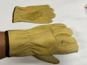 Lab Safety – LSS-23392L