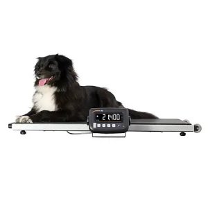 pce-instruments-livestock-scale